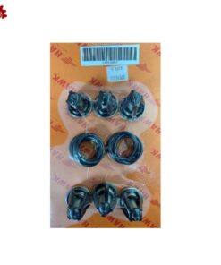 Complete valve for hawk pump XLTI PN: 1.099-686.0