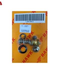 Repair kit for Hawk Spray gun PN: 1.099-966.0