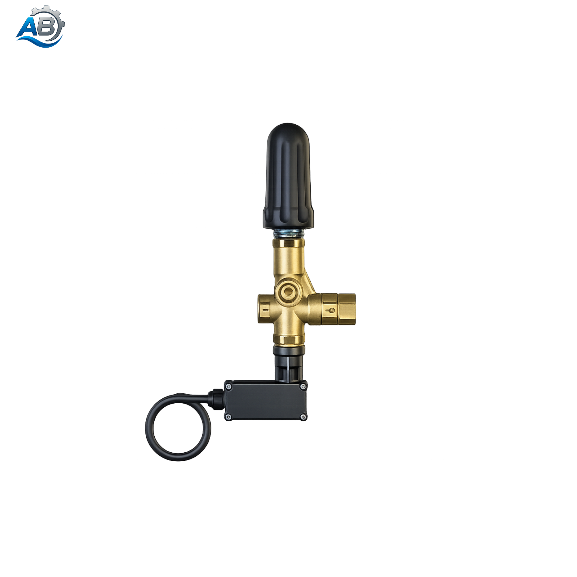 Unloader valve for maximum pressure 310 bar and maximum flow rate 40 l/m with switch Pulsar Rv with micro-switch/ knob PN: 60.0006.60
