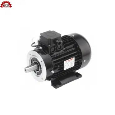 B3/B14 ELECTRIC MOTORS VERSION